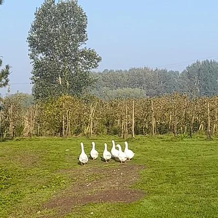 Ferme Du Grand Fresnoy Апартаменты *