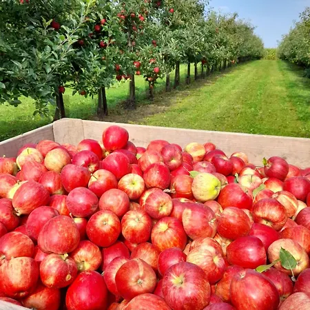 Ferme Du Grand Fresnoy Апартаменты Molenbaix