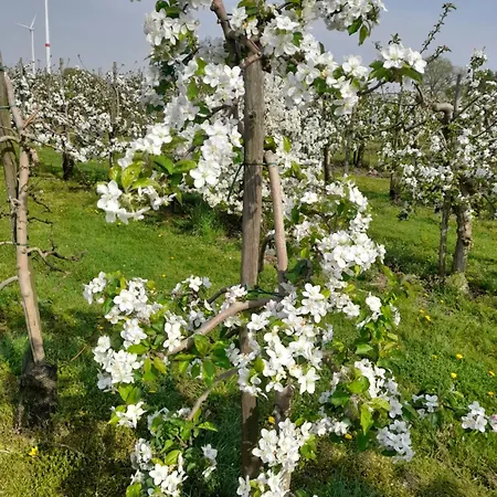 Ferme Du Grand Fresnoy *