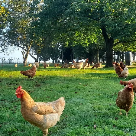 Ferme Du Grand Fresnoy Апартаменты