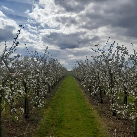 Apartament Ferme Du Grand Fresnoy *