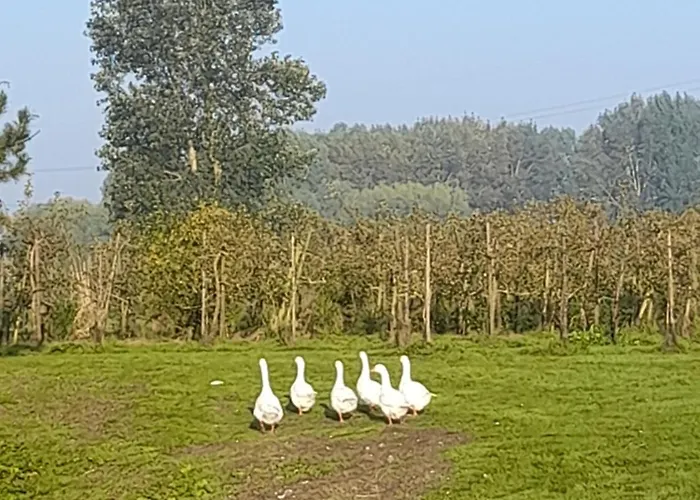 Ferme Du Grand Fresnoy Apartment *
