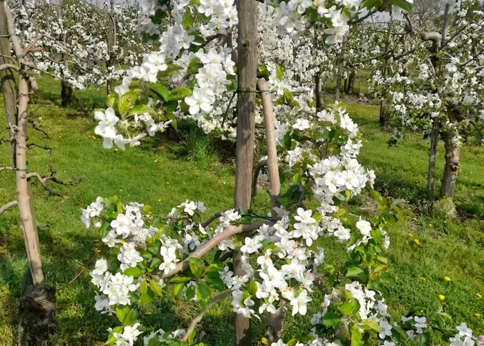 Ferme Du Grand Fresnoy *
