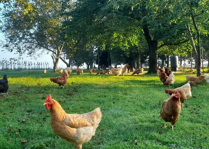 Ferme Du Grand Fresnoy Apartment