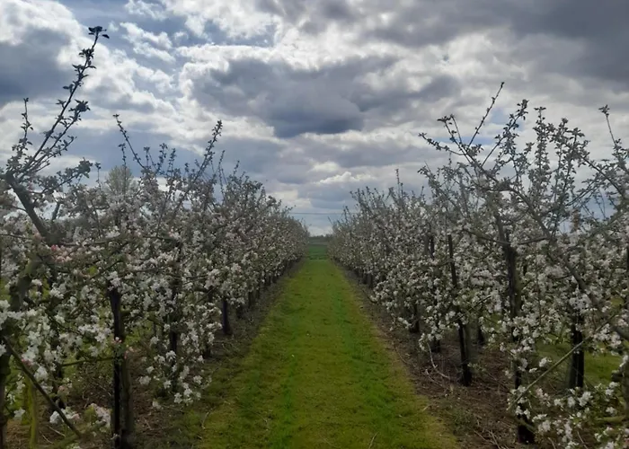 Apartment Ferme Du Grand Fresnoy *